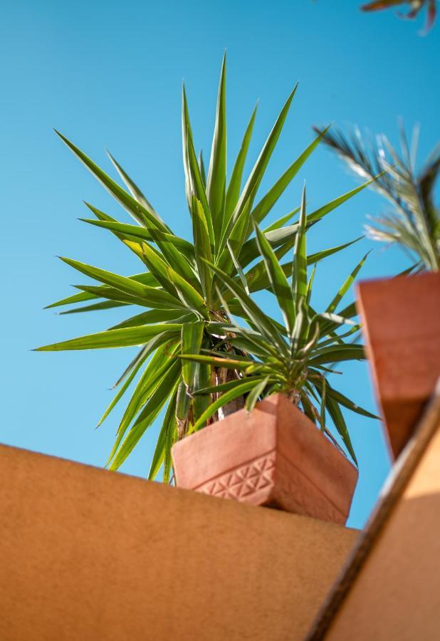 Backpackers Home Zadar Exterior foto